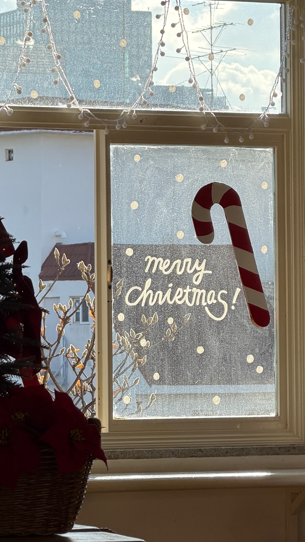 Story by ohmyglow_co